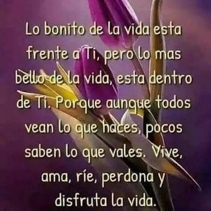 Meet your Posher, Carmela